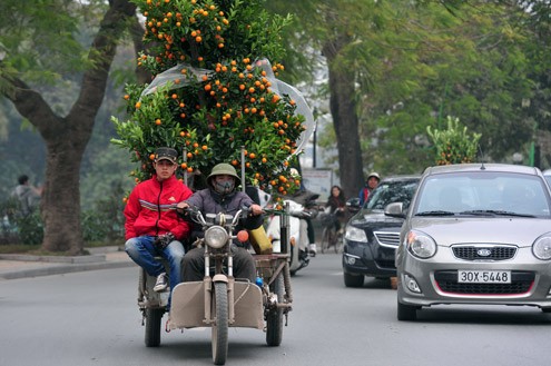 Cảnh chở hoa Tết nườm nượp trên đường Thanh Niên đã diễn ra vài ngày nay.