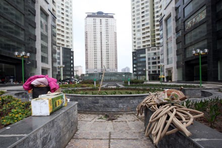 Những đường ống bỏ khô của nhân viên chăm sóc cây xanh tại khu Trung Hòa - Nhân Chính