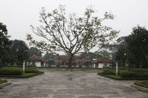 Toàn cảnh khu nhà tưởng niệm của Bác ở Nghệ An.