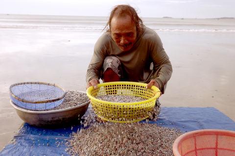 "Biển là tất cả đối với tôi", người đàn ông 60 tuổi này tâm sự khi đang sàng lọc những con hến biển để kịp chợ sáng.