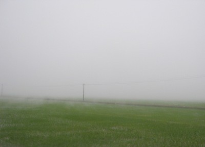 Chưa tối những cánh đồng đã phủ kín những dãi sương trắng dày đặc