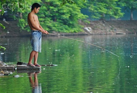 Người Hà Nội có thể câu cá ở mọi nơi có nước, bất kể nơi đó ô nhiễm ra sao.