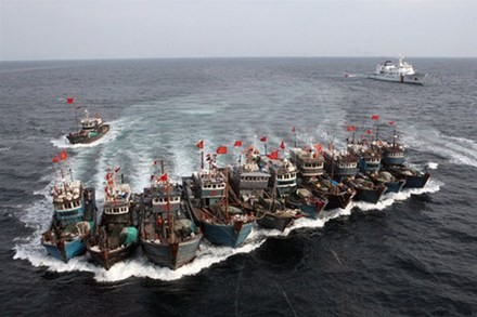 Tàu cá Trung Quốc thường tổ chức thành các biên đội kéo ra quần đảo Trường Sa đánh bắt, thăm dò trái phép và do thám...