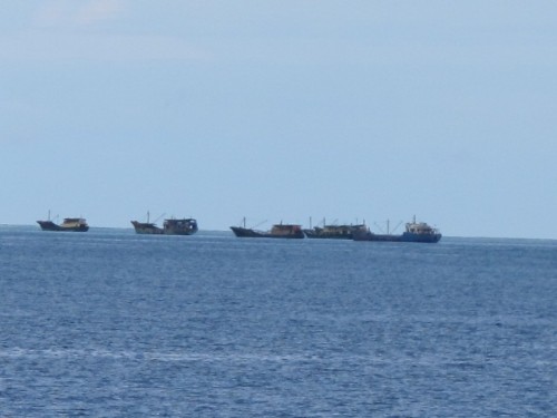 Thấy tàu của lực lượng cảnh sát biển, tàu cá lạ đã thả neo, dừng đánh bắt cá..