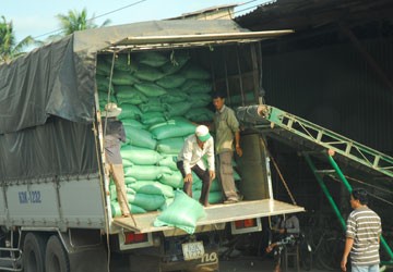 Các chuyên gia đều đánh giá chương trình thu mua gạo tạm trữ chưa có hiệu quả cao làm nông dân vẫn còn thiệt thòi. Trong ảnh: Thu mua lúa gạo nhập kho tại Cần Thơ. Ảnh:HTD