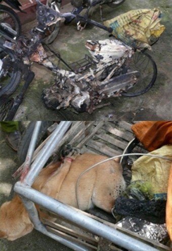 Tang vật một vụ trộm chó tại Thanh Hóa. Ảnh: Lê Hoàng
