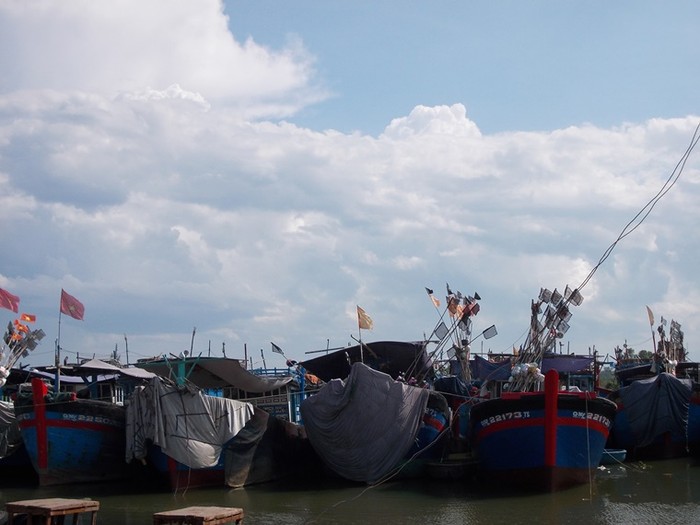 các tàu câu cá người đại dương ở Quảng Ngãi đang nằm bờ