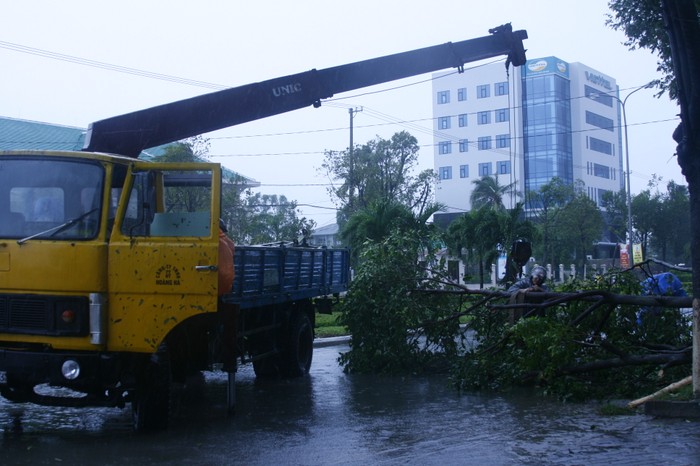 Bất chấp mưa to gió lớn, những công nhân môi trường đô thị và cả người dân khắc phục hậu quả sau bão giải phóng gia thông.