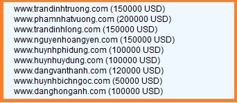 "Bảng giá" tên miền trùng với tên các đại gia Việt Nam