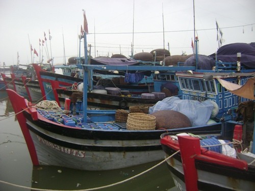 Một số tàu cá đã kịp vào bờ tránh trú cơn bão số 1 tại TP Tuy Hoà – Phú Yên