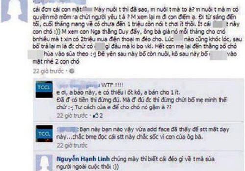 Những lời lẽ chửi bố mẹ thậm tệ trên Facebook của nickname Nguyễn Hạnh Linh