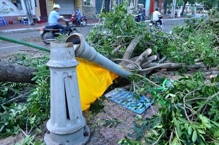 Trụ đèn chiếu sáng bị đổ trên đường Lê Lợi, TP. Vũng Tàu, tỉnh Bà Rịa - Vũng Tàu sau khi cơn bão số 1 đổ vào các tỉnh phía Nam. Ảnh: Mạnh Linh - TTXVN.