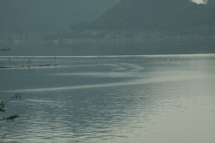 Gợn sóng trên mặt hồ Thung Nai.