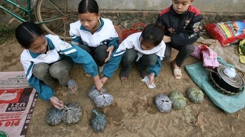 Những học sinh người Mường ở xã Ân Nghĩa (Lạc Sơn – Hòa Bình) tranh thủ phiên chợ bày bán cua, ốc do các em bắt được phụ giúp cha mẹ.