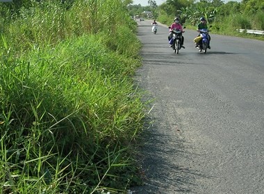 Quốc lộ 91B ở Cần Thơ băng qua đồng ruộng, có nhiều đất dân bị ảnh hưởng. Ảnh: Internet.