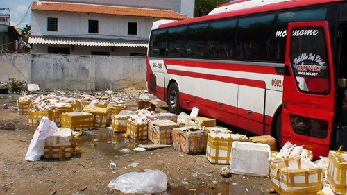 Hàng trăm con heo sữa và nhiều thùng da heo thối bị phát hiện. Ảnh: Đại Việt.