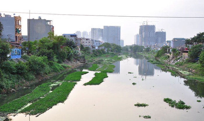 Tô Lịch là dòng sông bị ô nhiễm nghiêm trọng nhưng trên đoạn sông Hữu Hòa, Thanh Trì, Hà Nội nhiều người vẫn tận dụng nguồn nước bẩn này để trồng rau muống.
