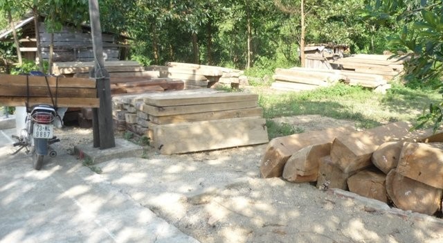 Trạm kiểm lâm Trường Sơn thu giữ được một khối lượng khá lớn gỗ khai thác trái phép.