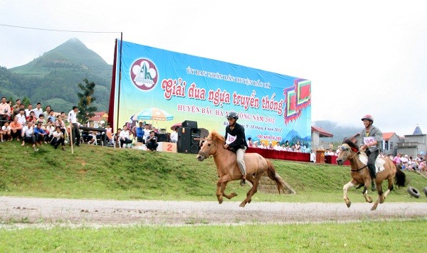 Giải đua năm nay có 66 ngựa tham gia, trong đó 58 ngựa của 7 xã thuộc huyện Bắc Hà; 5 ngựa của huyện Si Ma Cai (tỉnh Lào Cai) và 3 ngựa của huyện Xín Mần (tỉnh Hà Giang), đây cũng là những đơn vị có ngựa đua tham gia Giải đua ngựa huyện Bắc Hà mở rộng năm 2011.
