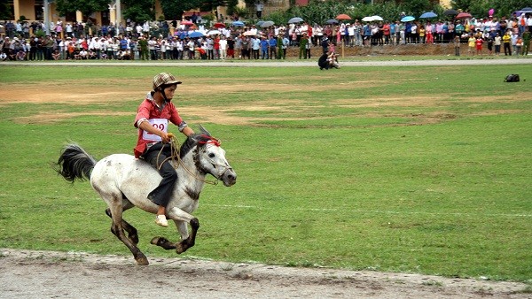 Với những cú bứt phá, nước rút ấn tượng, cả 2 nài ngựa đương kim vô địch và á quân giải năm 2011 (Vàng Văn Huỳnh và Vàng Văn Cương – cùng ở xã Na Hối) đều góp mặt trong vòng bán kết.