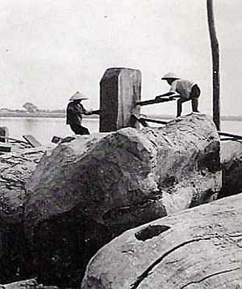 Xẻ gỗ trên bãi sông Hồng (ảnh chụp năm 1940).