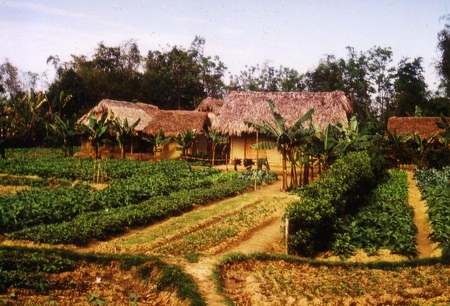 Ngôi làng ở Cam Giá, Thái Nguyên.
