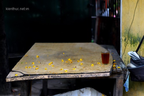 Những cánh hoa cô đơn trên một bàn bán trà đá trưa vắng.