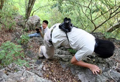 Các phóng viên ảnh leo lên ngọn núi đá tai mèo cao chót vót, dựng đứng ở huyện Quan Hóa, Thanh Hóa để thâm nhập động Ma - nơi bí ẩn với hàng trăm cỗ quan tài bằng thân cây gác sâu trong lòng núi. Chỉ cần sơ sẩy, họ sẽ bỏ mạng. Ảnh: Internet.