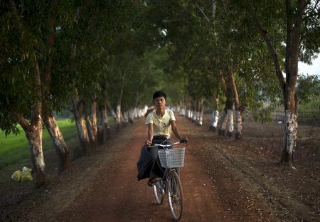 Một cậu bé đạp xe trên con đường đất ở Bago, Myanmar. Nếu không đọc chú thích, hẳn rất nhiều người sẽ nghĩ đây là một bức ảnh được chụp ở vùng nông thôn Việt Nam.