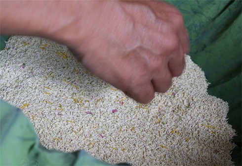 Để có được khoảng 1 kg "gạo sen" ướp trà, mỗi sáng ông Tuấn cần 20 người để hái và tách hoa. Sau khâu này, "gạo sen" phải được sàng, sẩy thật sạch các cuống nhụy và cánh sen còn vương vãi.