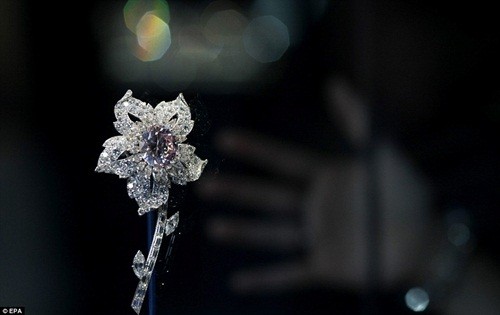 Chiếc hoa cài áo Williamson Diamond Brooch nạm kim cương cỡ lớn được các Nữ hoàng Anh đeo trong suốt 200 năm.