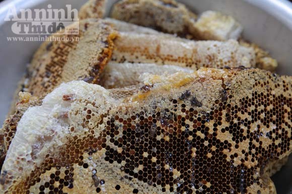Người Thái có nhiều cách chế biến nhộng ong như hấp, chiên, xôi đồ nhộng ong...
