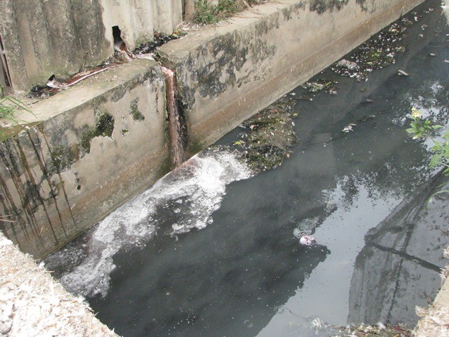 Nước thải được “ tuồn” ra từ chính những hộ giết mổ gia súc, gia cầm.. là nguyên nhân chính dẫn đến nguồn nước bị “ vấy bẩn” ô nhiễm nghiêm trọng.