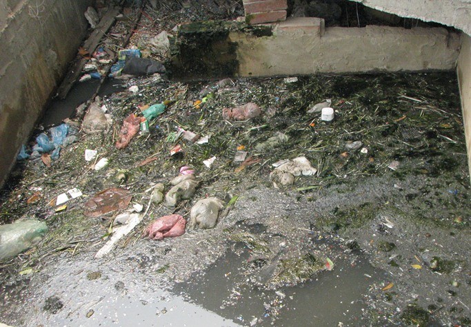 Nếu trung bình một ngày một người xả ra môi trường sống từ 0,3- 0,5kg rác thì lượng rác thải sinh hoạt phát sinh hàng ngày trên địa bàn Tân Triều- Thanh Trì- Hà Nội khoảng 1.000 tấn và bình quân mỗi năm tăng khoảng 15%.