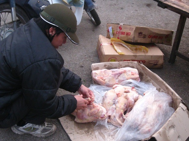 Trong những thùng hàng mang tên “ chicken leg” là gà thải đông lạnh tím tái với chất lượng thấp được đưa vào Việt Nam tiêu thụ.