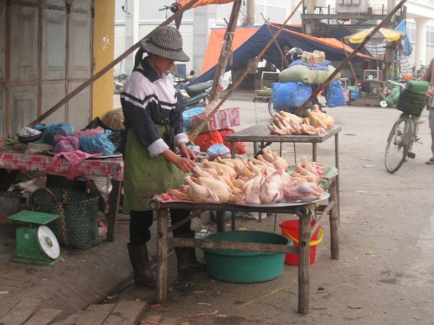 Tại các chợ hoạt động buôn bán thịt gà diễn ra bình thường, người mua – người bán thản nhiên trao đổi hàng hóa, không găng tay, khẩu trang khi làm thịt gà.