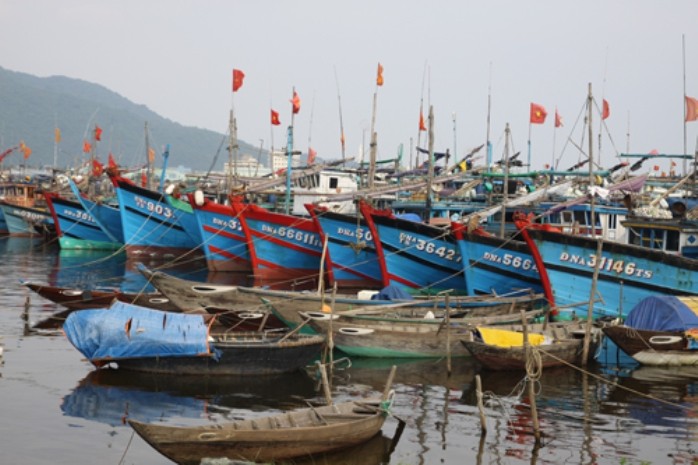 Tàu thuyền neo đậu tránh bão tại vịnh Mân Quang, TP.Đà Nẵng. Ảnh Thanh Niên