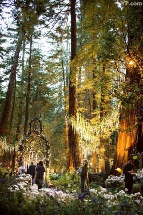 Khu rừng rậm trở thành thiên đường cổ tích nhờ đám cưới của Sean Parker