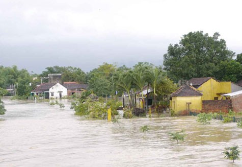 Nhiều ngôi nhà đã bị ngập chìm trong biển nước tại Bình Định