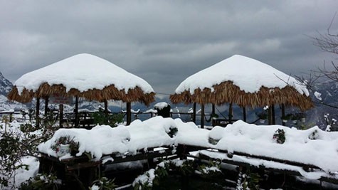 Một khu trồng hoa lan bị vùi dưới tuyết. Nhiều người dân Sapa trắng tay sau đợt tuyết rơi này. Ảnh vnexpress