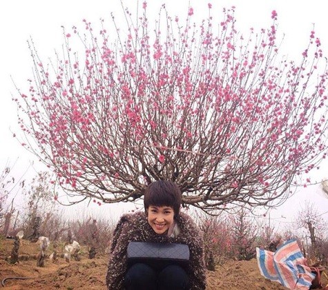 Nữ ca sĩ Uyên Linh chia sẻ khoảnh khắc đáng nhớ bên cây đào rực rỡ