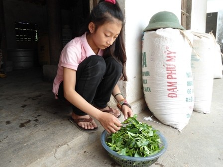 Sau những giờ đến trường, Thùy Linh lại phụ giúp công việc cho ông bà.