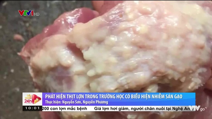 Thịt lợn nhiễm sán gạo đã tuồn vào trong trường học . (Ảnh: VTV)