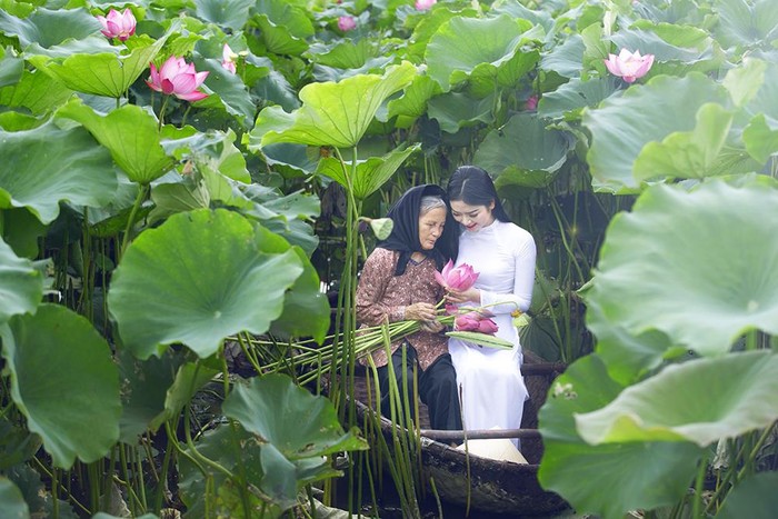 Không thiếu cách để chọn những khoảnh khắc đẹp cho hoa sen. (Hoa hậu các dân tộc Việt Nam - Ngọc Anh chụp ảnh hoa sen cùng cụ bà). Ảnh: Tri thức trẻ.