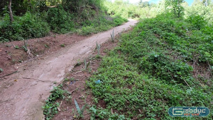 Con đường mà các thầy cô tự làm mong cho các con đi học không bị trượt ngã khi ngày mưa