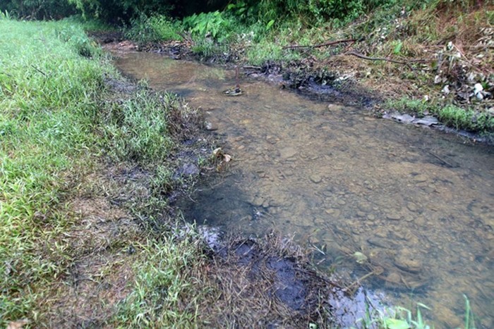 Dòng sông Đà bị nhiễm bẩn từ những kẻ đổ trộm, nhưng những người bán nước bẩn có thể vô can? (Ảnh TTXVN)