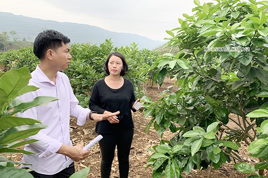 Cán bộ Phòng Nông nghiệp và Phát triển nông thôn huyện Thuận Châu hướng dẫn người dân xã Chiềng Pha chăm sóc cây ăn quả. Ảnh: Báo Sơn La.