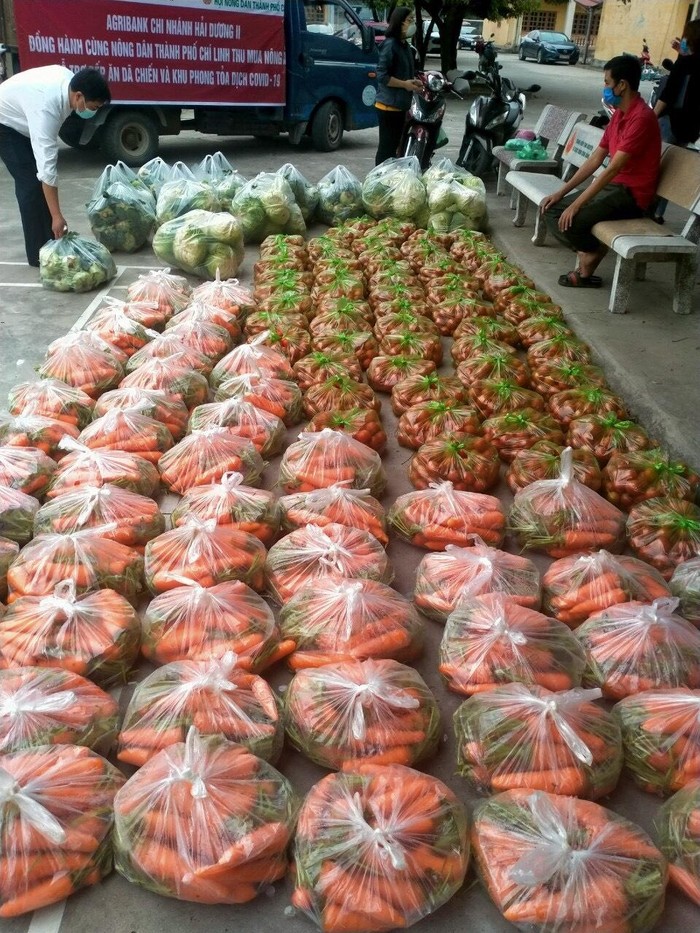 Tổng số, 310 kg cà chua, 124 kg bắp cải, 160kg su hào đã được Đại học Chí Linh &quot;giải cứu&quot; cho bà con nông dân.