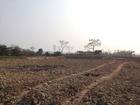 Đất tập thể nhưng bị kê khống thành đất cá nhân để được hưởng đền bù giá cao ở xã Tam Đa, huyện Yên Phong (Bắc Ninh).