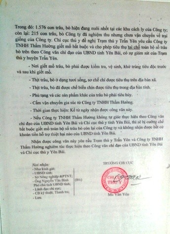 Văn bản &quot;không số&quot; của Chi cục Thú Y tỉnh Yên Bái yêu cầu Công ty Thẩm Hường phải giết mổ ngay lập tức gần 2.000 con trâu, bò.